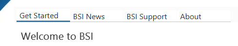 screenshot of BSI Launcher tabs